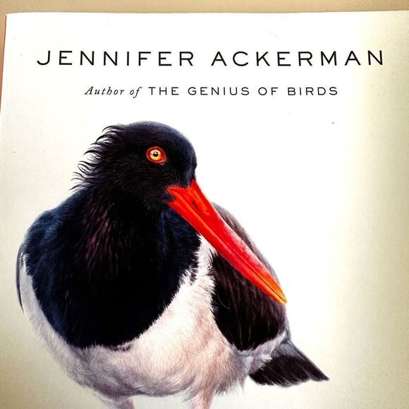 Birds by the Shore by Jennifer Ackerman - Picture 2 of 7